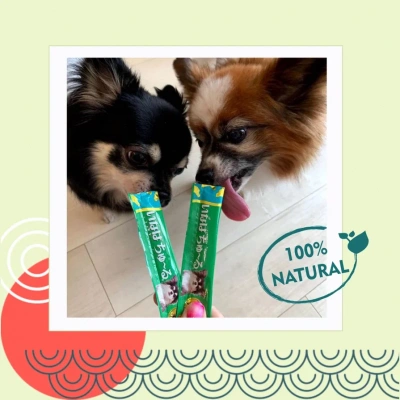 Inaba Churu 4*0,014кг с куриным филе для здоровья кожи и шерсти лакомство-пюре для собак фото Inaba Churu 4*0,014кг с куриным филе для здоровья кожи и шерсти лакомство-пюре для собак фото
