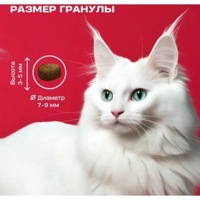 Wellement 0,35кг корм для взрослых кошек с индейкой фото Wellement 0,35кг корм для взрослых кошек с индейкой фото