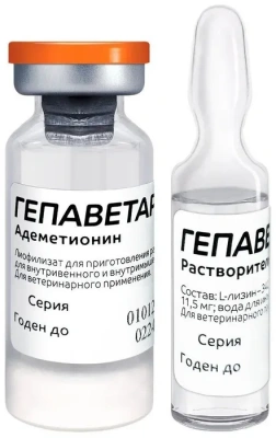 Гепаветариум 100 мг для лечения и профилактики заболеваний печени у кошек и собак (ЛИЦЕНЗИЯ) фото Гепаветариум 100 мг для лечения и профилактики заболеваний печени у кошек и собак (ЛИЦЕНЗИЯ) фото