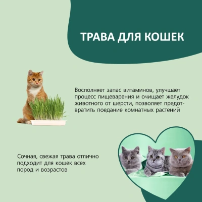 TiTBiT 0,04кг трава для кошек фото