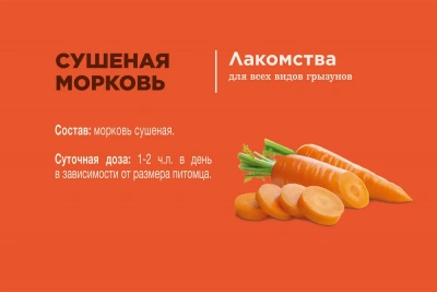 Little One 0,2кг Лакомство Сушеная морковь для грызунов фото Little One 0,2кг Лакомство Сушеная морковь для грызунов фото