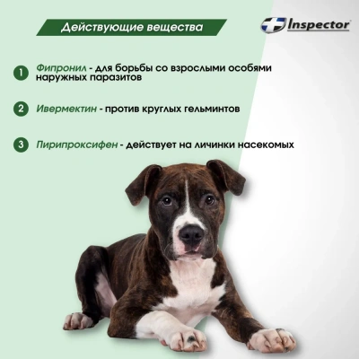 Ошейник (Inspector) (4 мес), 65см от блох, клещей и глистов для средних собак (ЛИЦЕНЗИЯ) фото Ошейник (Inspector) (4 мес), 65см от блох, клещей и глистов для средних собак (ЛИЦЕНЗИЯ) фото