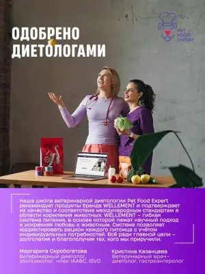 Wellement Утка с водорослями рубленое мясо в соусе для стерилизованных кошек, 80 г фото