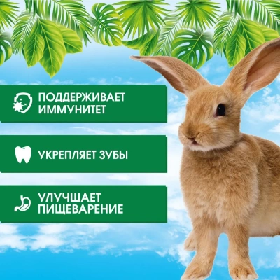 Happy Jungle 0,4кг корм для молодых кроликов (14) фото Happy Jungle 0,4кг корм для молодых кроликов (14) фото