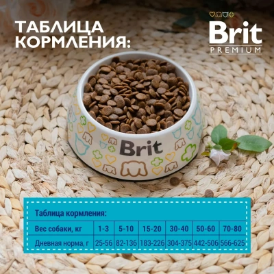 Brit Premium Dog 8кг Sensitive ягненок и индейка сухой корм для взрослых собак всех пород с чувствительным пищеварением (50048 фото
