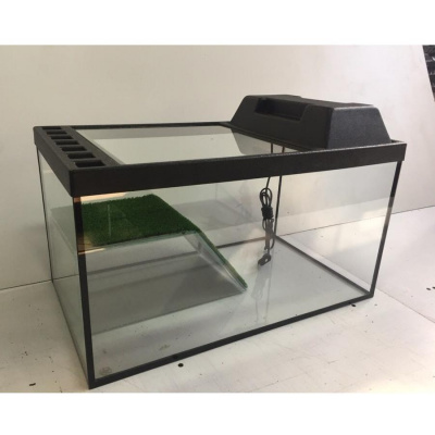 4631142654736.jpg 4631142654736.jpg