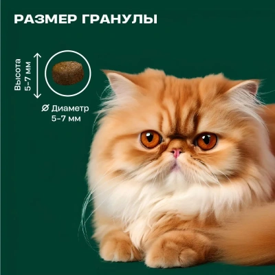 Wellement 0,35кг с уткой сухой для котят (003706) фото Wellement 0,35кг с уткой сухой для котят (003706) фото