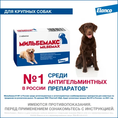 Мильбемакс (Elanco) 2таб. антигельминтик для собак более 5кг, 1таб./5-25кг (ЛИЦЕНЗИЯ) фото