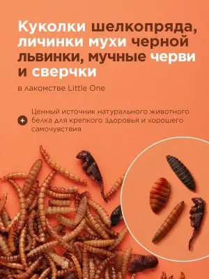 Little One 0,075кг Лакомство смесь насекомых для всеядных грызунов фото
