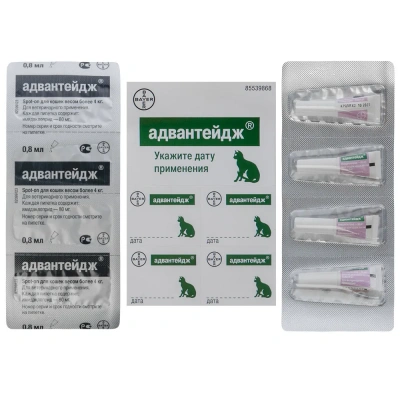 Адвантейдж 80 капли (4пип х 0,8мл) против паразитов для кошек более 4кг (ЛИЦЕНЗИЯ) фото Адвантейдж 80 капли (4пип х 0,8мл) против паразитов для кошек более 4кг (ЛИЦЕНЗИЯ) фото