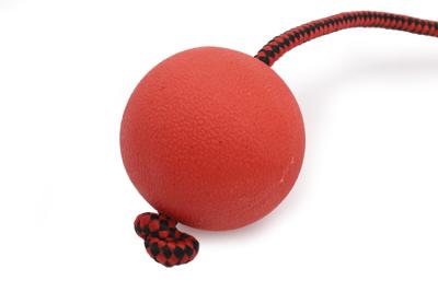 Игрушка (Wogy) Мяч d=7см литой с ручкой l=32см, для собак фото