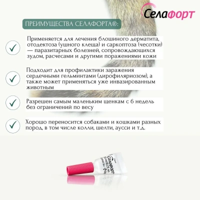 Cелафорт (KRKA) 15мг/0,25мл капли (1пип) от блох, против кожных  клещей и глистов для кошек и собак до 2,5кг (ЛИЦЕНЗИЯ) фото