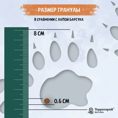 ТерриториЯ Кавказ 0,8кг индейка с морошкой сухой для щенков мелких пород (560230) фото