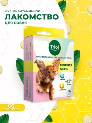 Triol 0,033кг лакомство мультивитаминное  Активная жизнь для собак фото