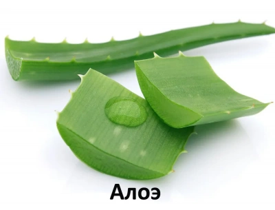  Alleva Holistic Puppy 2кг океаническая рыба, конопля, алое, сухой корм для щенков крупных пород (Р00228) фото