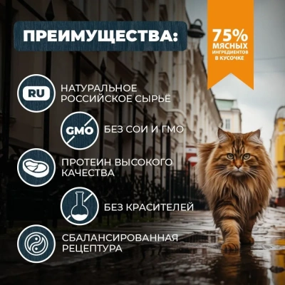 Родные корма 0,41кг с говядиной и морковкой кусочки в соусе по-ленинградски консервы для кошек (831380) NEW фото