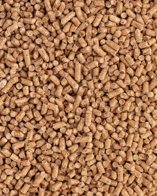 Наполнитель (Сибирская кошка) 10л Лесной древесный для кошек фото Наполнитель (Сибирская кошка) 10л Лесной древесный для кошек фото