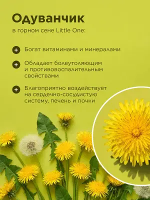 Сено (Little One) Горное с одуванчиком 0,4кг для грызунов фото