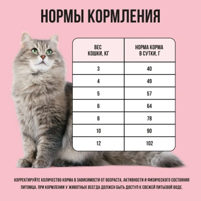 Bowl Wow 8кг с индейкой и яблоком сухой для кошек (660101) фото