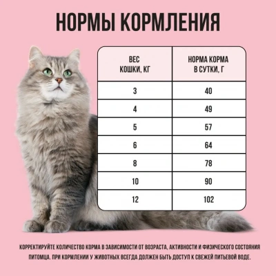 Bowl Wow 4кг с индейкой и яблоком сухой для кошек (660095) фото