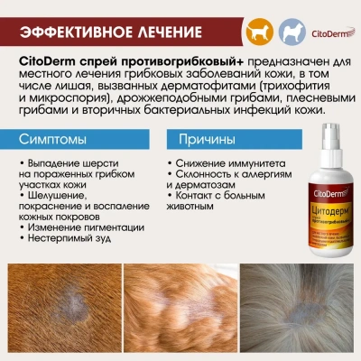Спрей (CitoDerm) противогрибковый+ 50мл (ЛИЦЕНЗИЯ) фото Спрей (CitoDerm) противогрибковый+ 50мл (ЛИЦЕНЗИЯ) фото