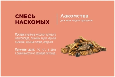 Little One 0,075кг Лакомство смесь насекомых для всеядных грызунов фото Little One 0,075кг Лакомство смесь насекомых для всеядных грызунов фото