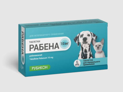 Рабена 10 мг, таблетки, №6 (ЛИЦЕНЗИЯ) Рабена 10 мг, таблетки, №6 (ЛИЦЕНЗИЯ) фото