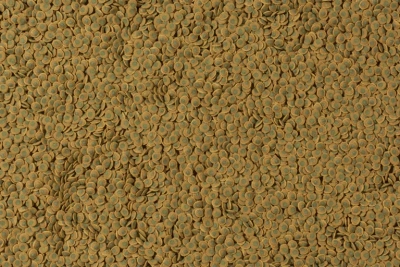 Tetra Pleco Veggie Wafers 0,015кг корм для растительноядных донных рыб фото Tetra Pleco Veggie Wafers 0,015кг корм для растительноядных донных рыб фото