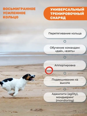 Кольцо (Doglike) 8-мигранное миниатюрное с этикеткой (оранжевый) фото