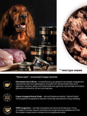 Четвероногий гурман 0,1кг Golden Line Ягнятина натуральная в желе для собак фото Четвероногий гурман 0,1кг Golden Line Ягнятина натуральная в желе для собак фото