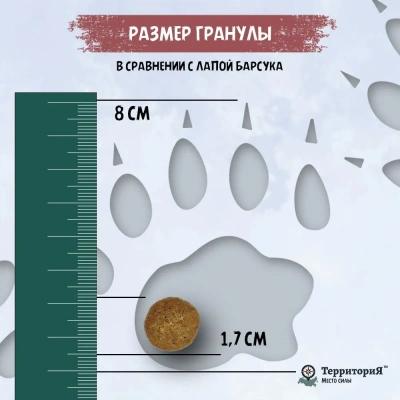 ТерриториЯ Кавказ 12кг индейка с брусникой сухой для взрослых собак средних и крупных пород (560018) фото