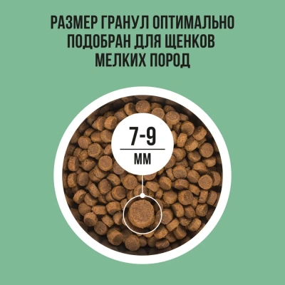 Bowl Wow 2кг индейка с рисом и шпинатом сухой для щенков мелких пород  (660309) фото
