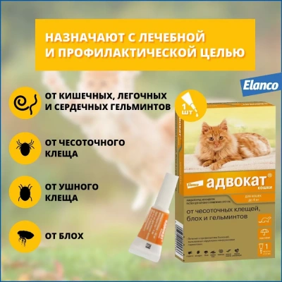 Адвокат капли (1пип) для кошек до 4кг от чесоточных клещей, блох и гельминтов (ЛИЦЕНЗИЯ) фото Адвокат капли (1пип) для кошек до 4кг от чесоточных клещей, блох и гельминтов (ЛИЦЕНЗИЯ) фото