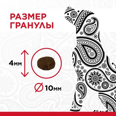 PURELUXE 9,98кг Элитное Питание для взрослых собак с ягненком и нутом (939617) фото PURELUXE 9,98кг Элитное Питание для взрослых собак с ягненком и нутом (939617) фото