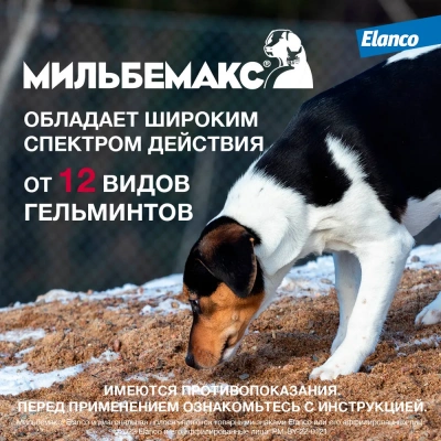 Мильбемакс (Elanco) 2таб. антигельминтик для собак более 5кг, 1таб./5-25кг (ЛИЦЕНЗИЯ) фото