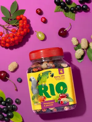 Rio 0,19кг лакомство Ягодная смесь для средних и крупных попугаев фото