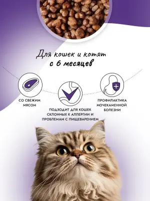 Best Dinner Dog Adult Holistic Sensible Mini 1,5кг ягненок с базиликом сухой для собак мелких пород (402762) фото