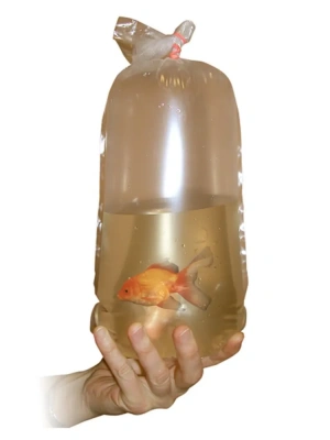 Пакет (Аква меню) 22см для переноса рыб полиэтилен (50шт) фото Пакет (Аква меню) 22см для переноса рыб полиэтилен (50шт) фото