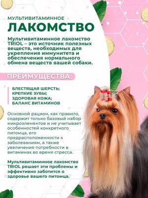 Triol 0,033кг лакомство мультивитаминное Здоровая кожа и шерсть для собак фото