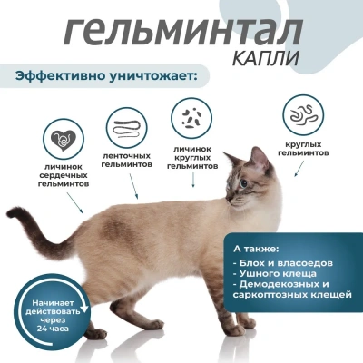 Гельминтал К Spot-on (3пип) капли на холку от блох, клещей и глистов для кошек и котят до 4кг (ЛИЦЕНЗИЯ) фото Гельминтал К Spot-on (3пип) капли на холку от блох, клещей и глистов для кошек и котят до 4кг (ЛИЦЕНЗИЯ) фото