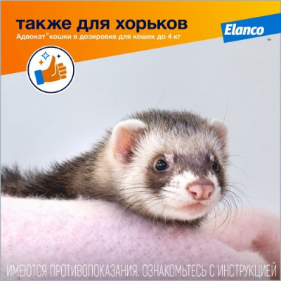 Адвокат капли (1пип) для кошек более 4кг от чесоточных клещей, блох и гельминтов (ЛИЦЕНЗИЯ) фото