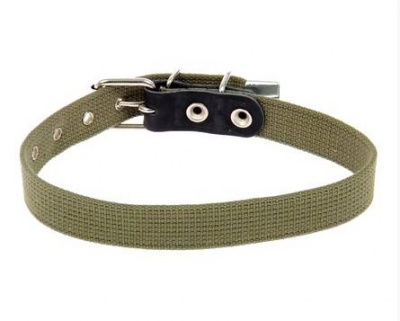 Ошейник (PerseiLine) брезентовый №35 (60 см)