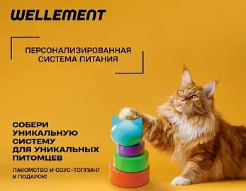 Подарок за покупку. Собери систему питания Wellement.