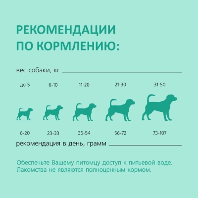 Biff 0,077кг Dent жевательный снек со вкусом телятины для собак средних пород фото