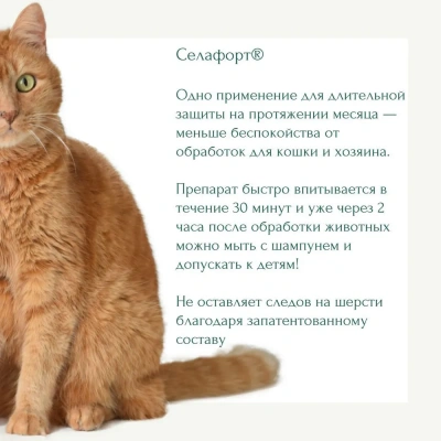 Cелафорт (KRKA) 45мг/0,75мл капли (1пип) от блох, против кожных клещей и глистов для кошек 2,6-7,5кг (ЛИЦЕНЗИЯ) фото