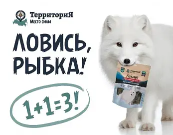 Ловись рыбка. 1+1=3