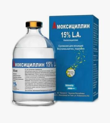 Безымянный454