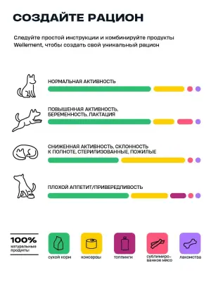 Wellement 0,08кг Ягненок с грушей кремовый топпинг для собак фото