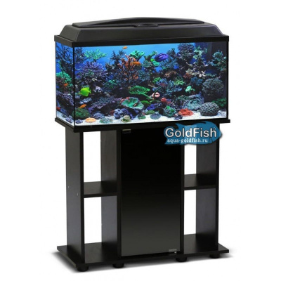Аквариумный комплекс (Голдфиш) прямоугольный 120л венге ЛДСП 
