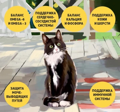 Brooksfield Adult Cat Indoor Turkey 2кг индейка и рис сухой для кошек живущих в помещении фото